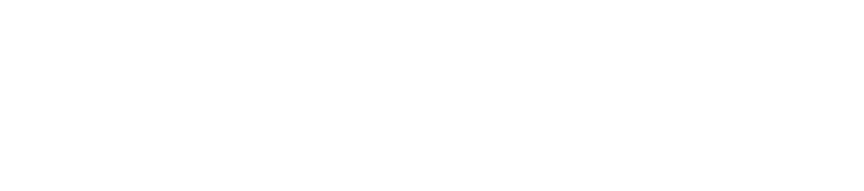 Digital infrastructure partner
